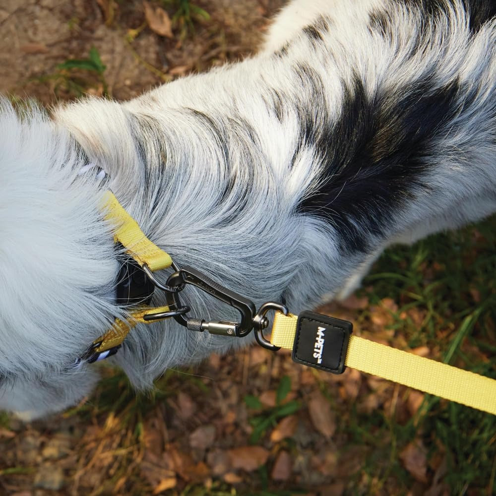 M Pets Wild Safari Collar for Dogs