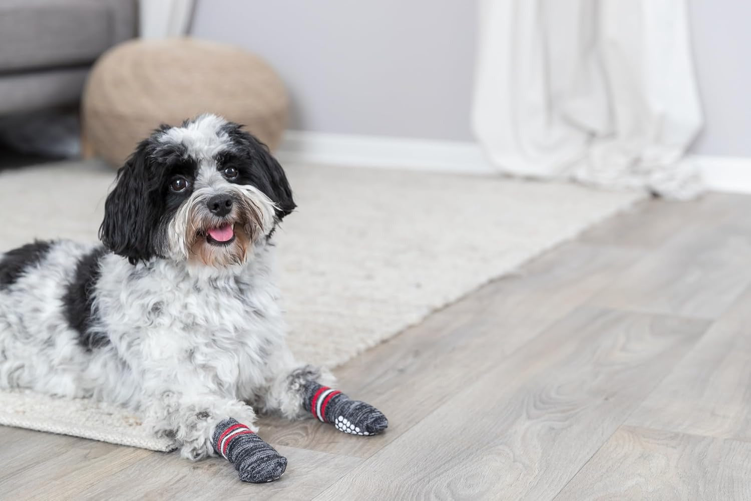 Trixie Non Slip Socks for Dogs (Grey)
