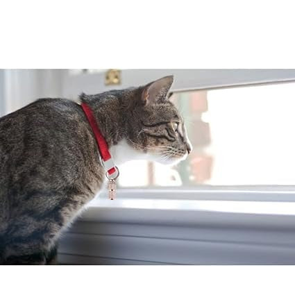 Trixie Metal Chromed Finish I.D Tag for Dogs and Cats