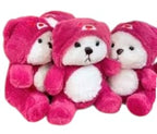 Teddy bear Toys - plush teddy bear toys with pink or red hoodies| Teddy bear gift | Birthday gift teddy bear | Valentine teddy bear | Anniversary gift teddy bear | Romantic teddy bear gift