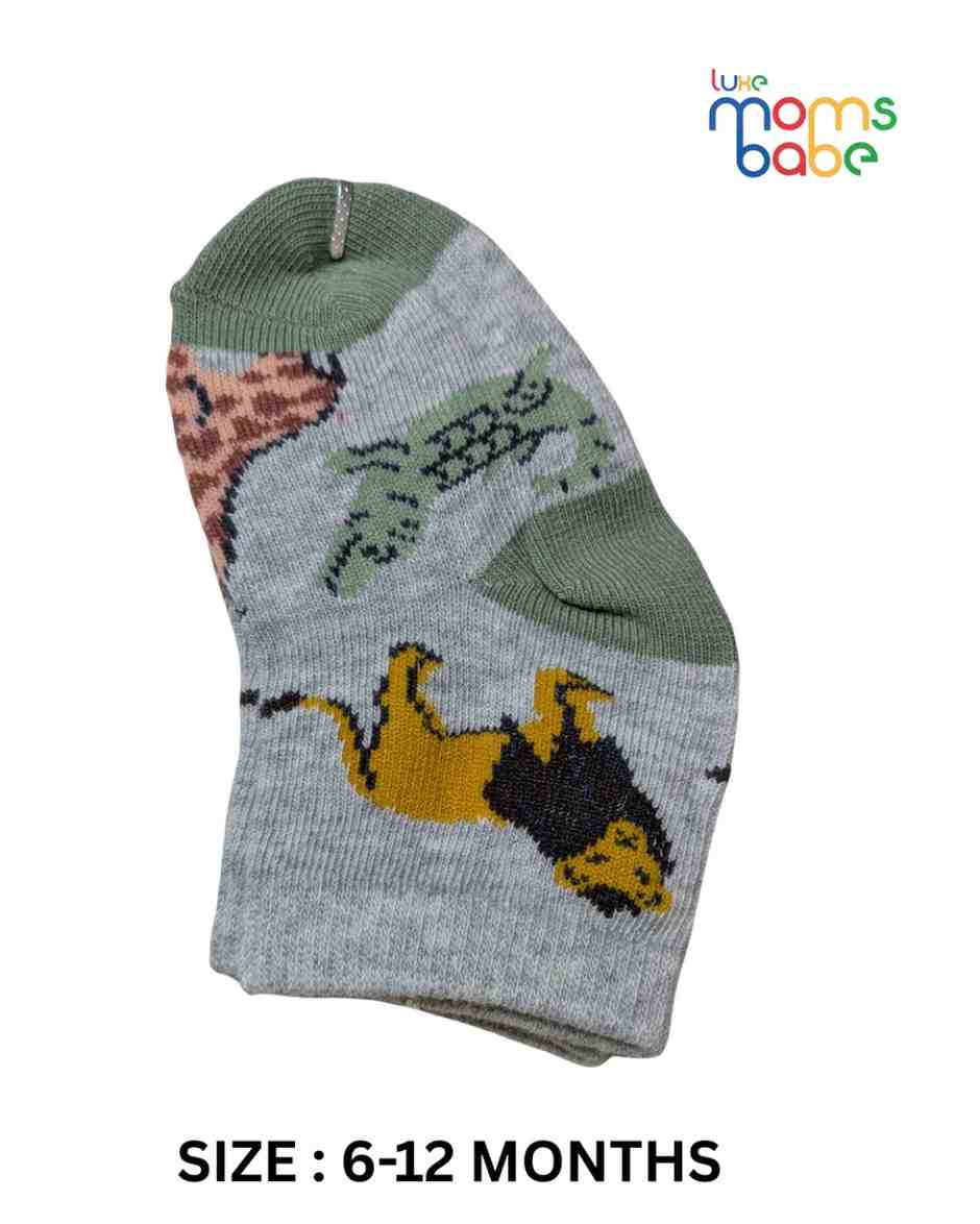 Baby Socks - Pack of 2 for Baby boys ( 6-12 Months )-multi colour,baby socks, baby boy socks, infant socks 6-12 months, cotton baby socks, multicolour baby sock