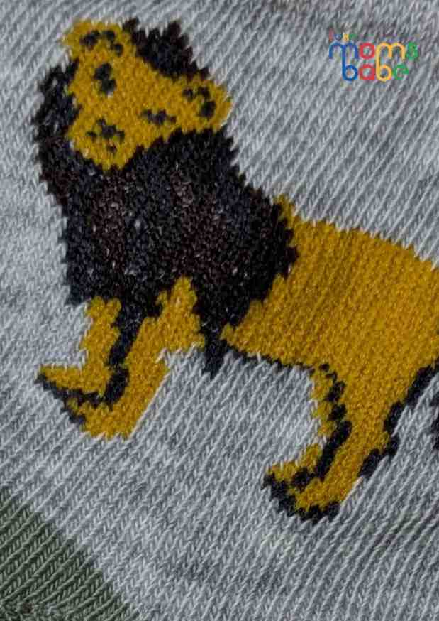 Baby Socks  - Pack of 2  for Baby boys ( 12-24 Months )-Multi colour,cotton baby socks, kids socks pack of 2, soft toddler socks, , toddler socks 12–24 months